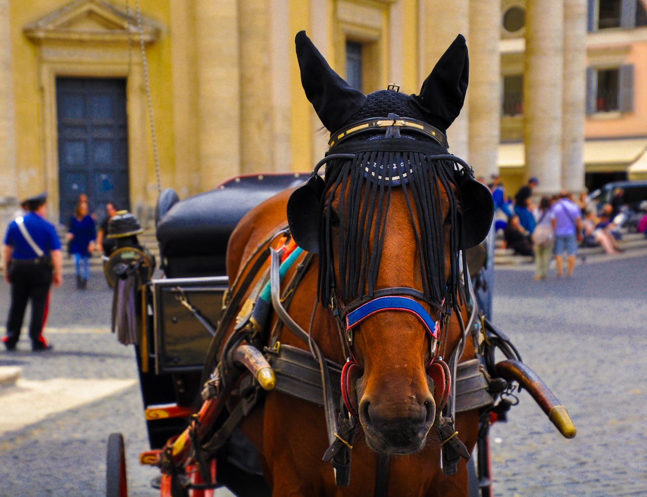 Žmonės,  Vežimas,  Gatvė,  Kavalerija,  Transporto Sistema,  Arklys,  Be Honoraro Mokesčio, Nemokamos Nuotraukos,  Nemokama Licenzija