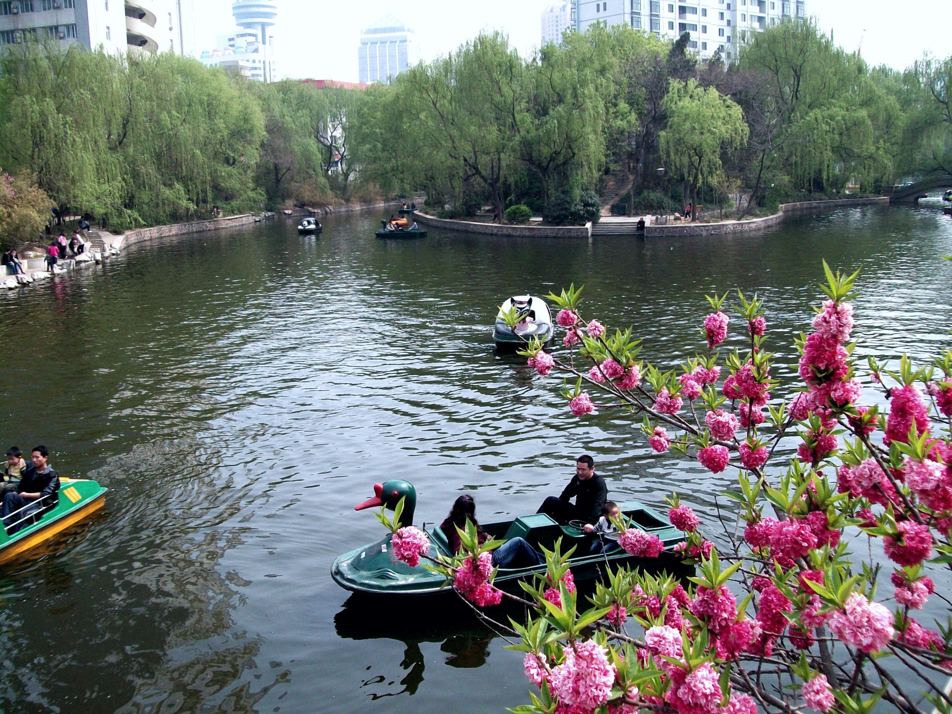 Kraštovaizdis,  Parkas & Nbsp,  Kinija,  Zhengzhou,  Henan,  Vaizdingas,  Plaukiojimas,  Valtys,  Irklas & Nbsp,  Valtis