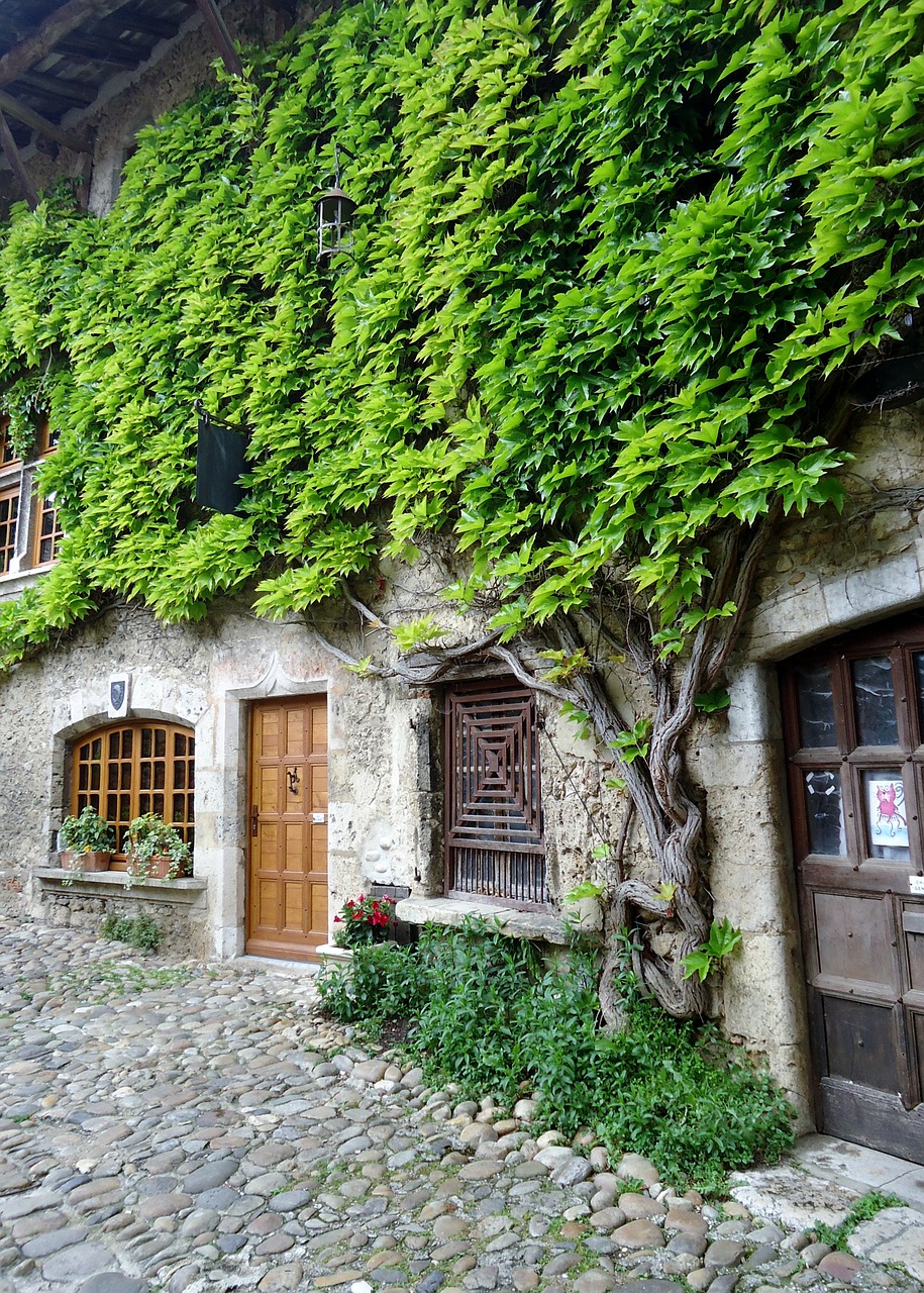 Pérouges, Kaimas, Geras Žvilgsnis, France, Viduramžių, Miestas, Akmenys, Fasadas, Ivy Lapai, Nemokamos Nuotraukos