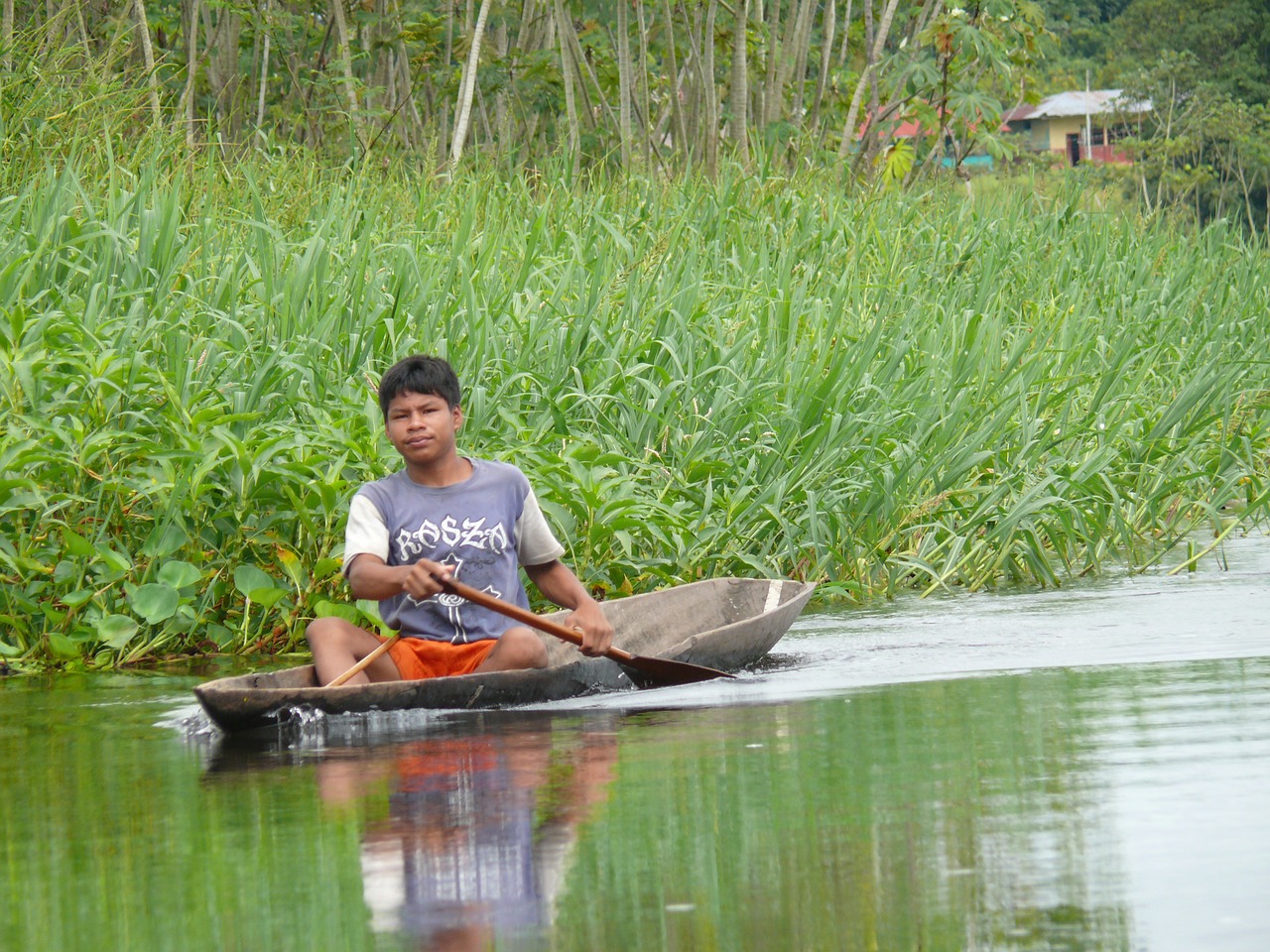 Peru, Upė, Valtis, Žalias, Miškas, Atogrąžų Miškai, Vandens Telkiniai, Nemokamos Nuotraukos,  Nemokama Licenzija