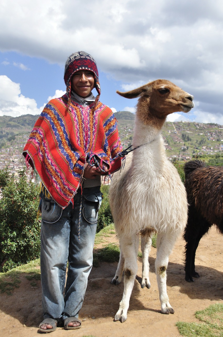 Peru, Žinduolis, Andes, Lama, Aukštis, Pončo, Nemokamos Nuotraukos,  Nemokama Licenzija