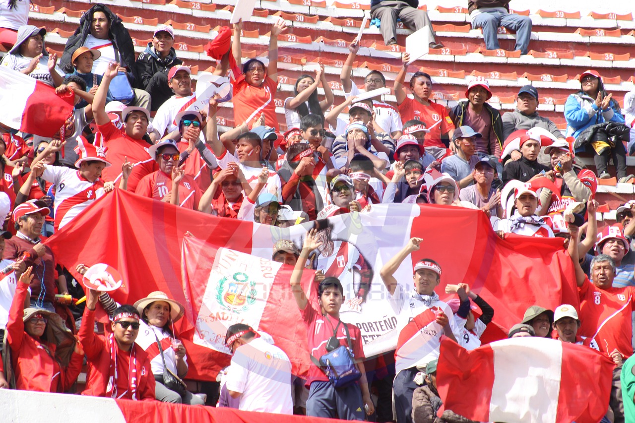 Peru, Bolivija, Peru Fanai, Taika, Peru Atranka, Rusijos 2018 M. Kvalifikaciniai Ženklai, Diego Vertiz, Nemokamos Nuotraukos,  Nemokama Licenzija