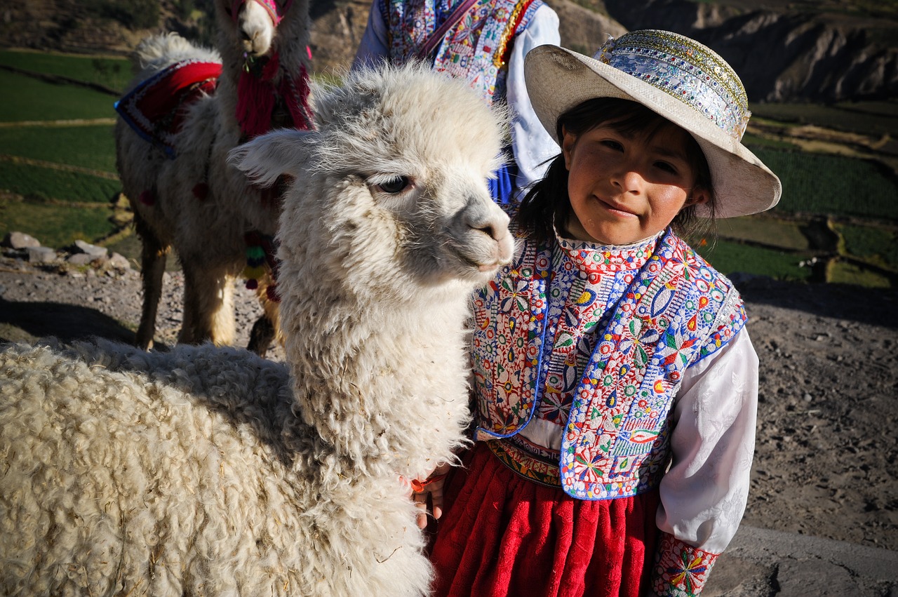 Peru, Kolka Slėnis, Inca, Ande, Maža Mergaitė, Ašmenys, Alpaka, Nemokamos Nuotraukos,  Nemokama Licenzija