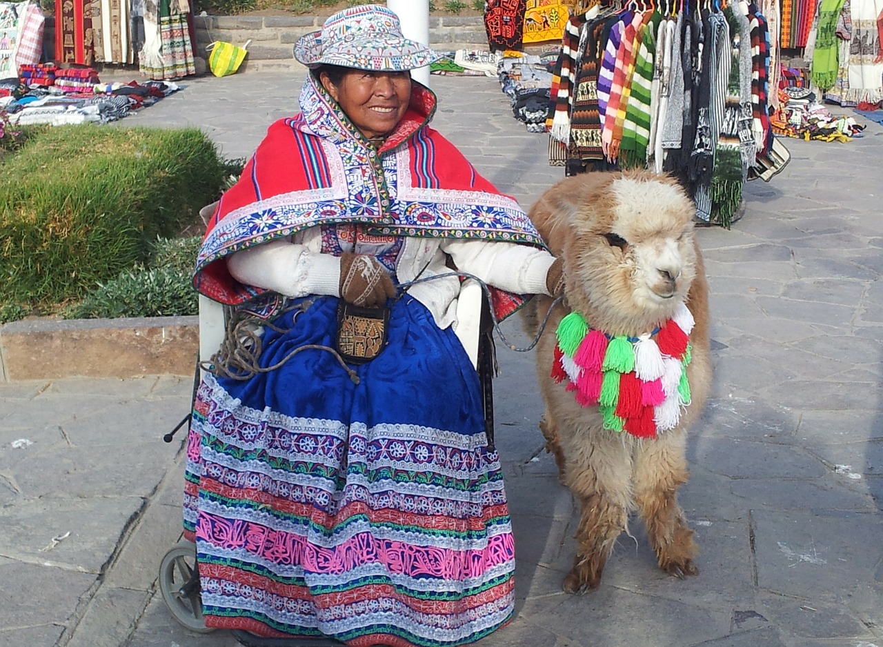 Peru, Chivay, Peru, Alpaka, Papuoštas, Kostiumas, Tradicija, Gyvūnas, Turgus, Nemokamos Nuotraukos