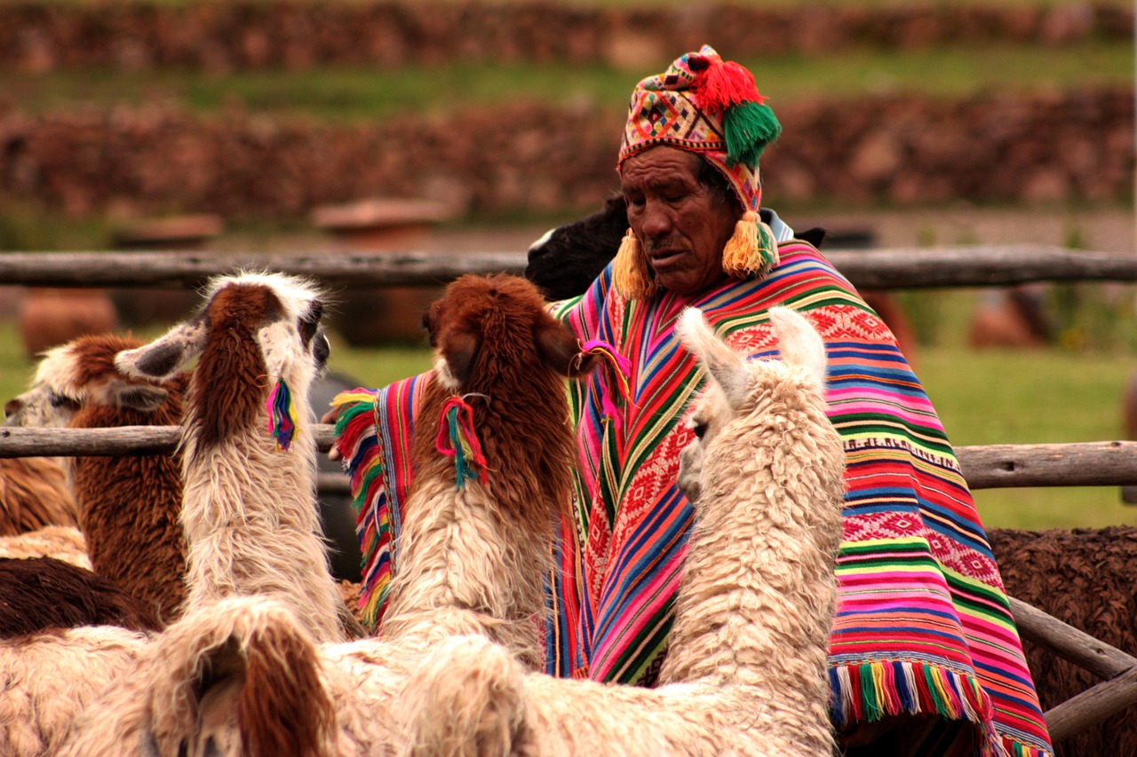Peru, Lama, Gyvūnai, Redneck, Žmonės, Žmonija, Žmogus, Atostogos, Turizmas, Nemokamos Nuotraukos