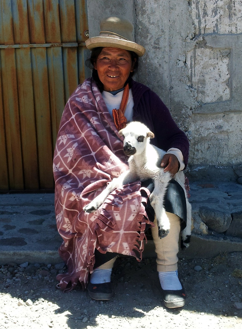 Peru, Moteris, Peru, Andes, Ėriena, Sėdėti, Senas, Nemokamos Nuotraukos,  Nemokama Licenzija