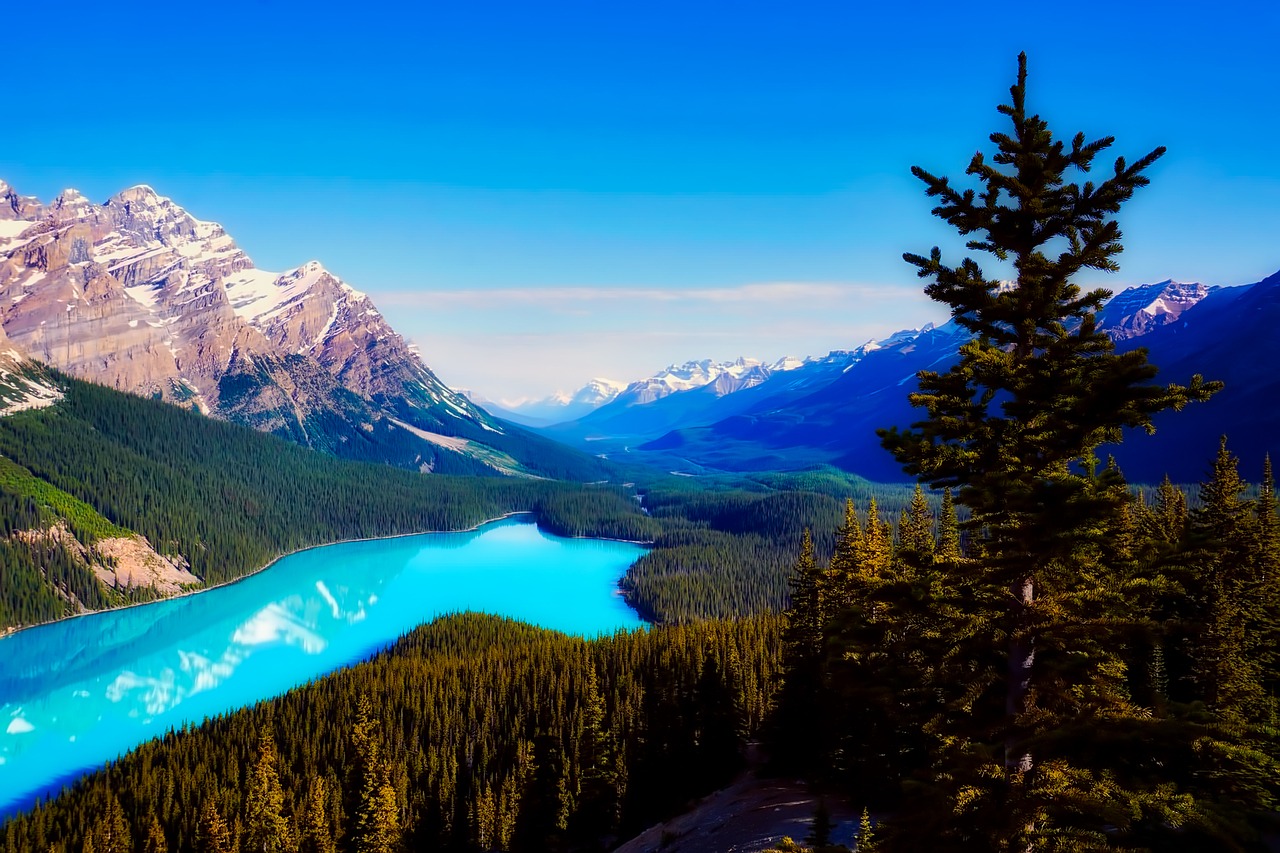 Peyto Ežeras, Kanada, Kalnai, Kraštovaizdis, Miškas, Medžiai, Miškai, Gamta, Lauke, Šalis