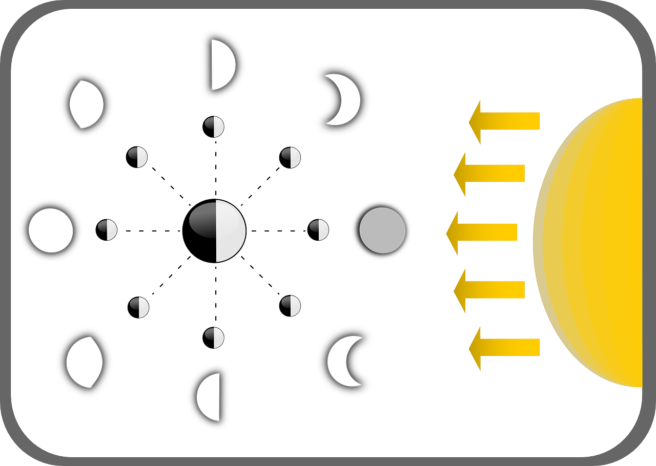 Mėnulio Fazės, Mėnulis, Diagrama, Astronomija, Saulė, Mėnuo, Šviesa, Šešėlis, Nemokama Vektorinė Grafika, Nemokamos Nuotraukos