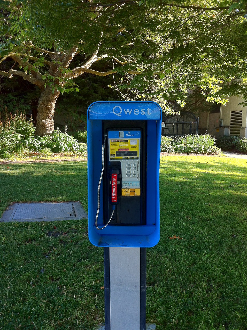 Telefonas, Telefonas, Bendrauti, Telefono Budele, Mėlynas, Miestas, Skambinti, Visuomenė, Parkas, Nemokamos Nuotraukos