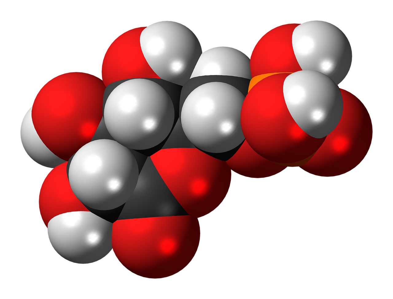 Fosfogluconolaktonas,  Molekulė,  Modelis,  Chemija,  Junginys,  Atomai,  Klijavimas,  Tyrimai, Nemokamos Nuotraukos,  Nemokama Licenzija