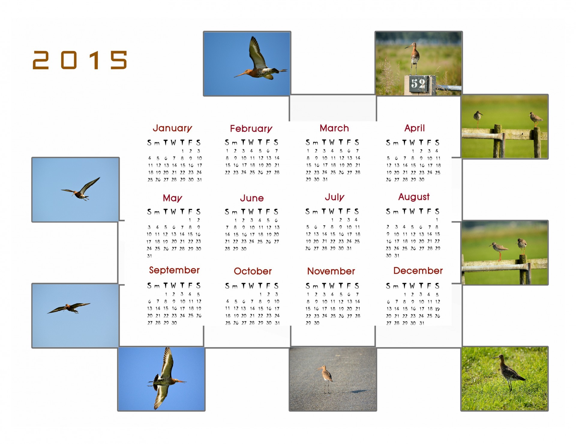 2015 M.,  Kalendorius,  Planuotojas,  Apdaila,  Metai,  Mėnuo,  Mėnesių,  Duomenys,  Nuotrauka,  Paukštis