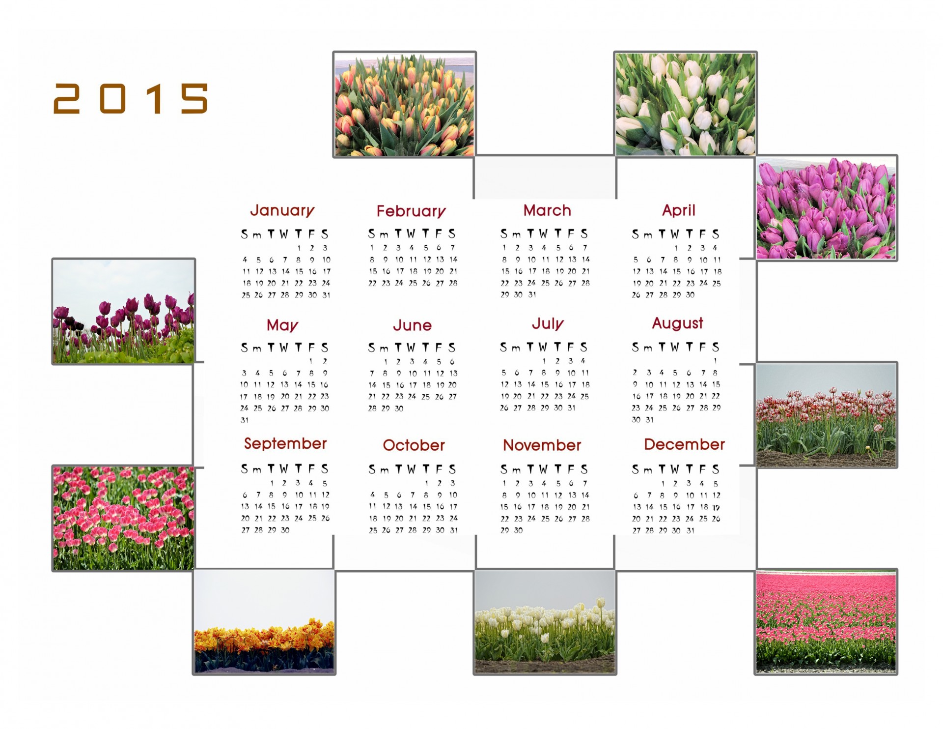 2015 M.,  Kalendorius,  Planuotojas,  Apdaila,  Metai,  Mėnuo,  Mėnesių,  Duomenys,  Nuotrauka,  Gėlės