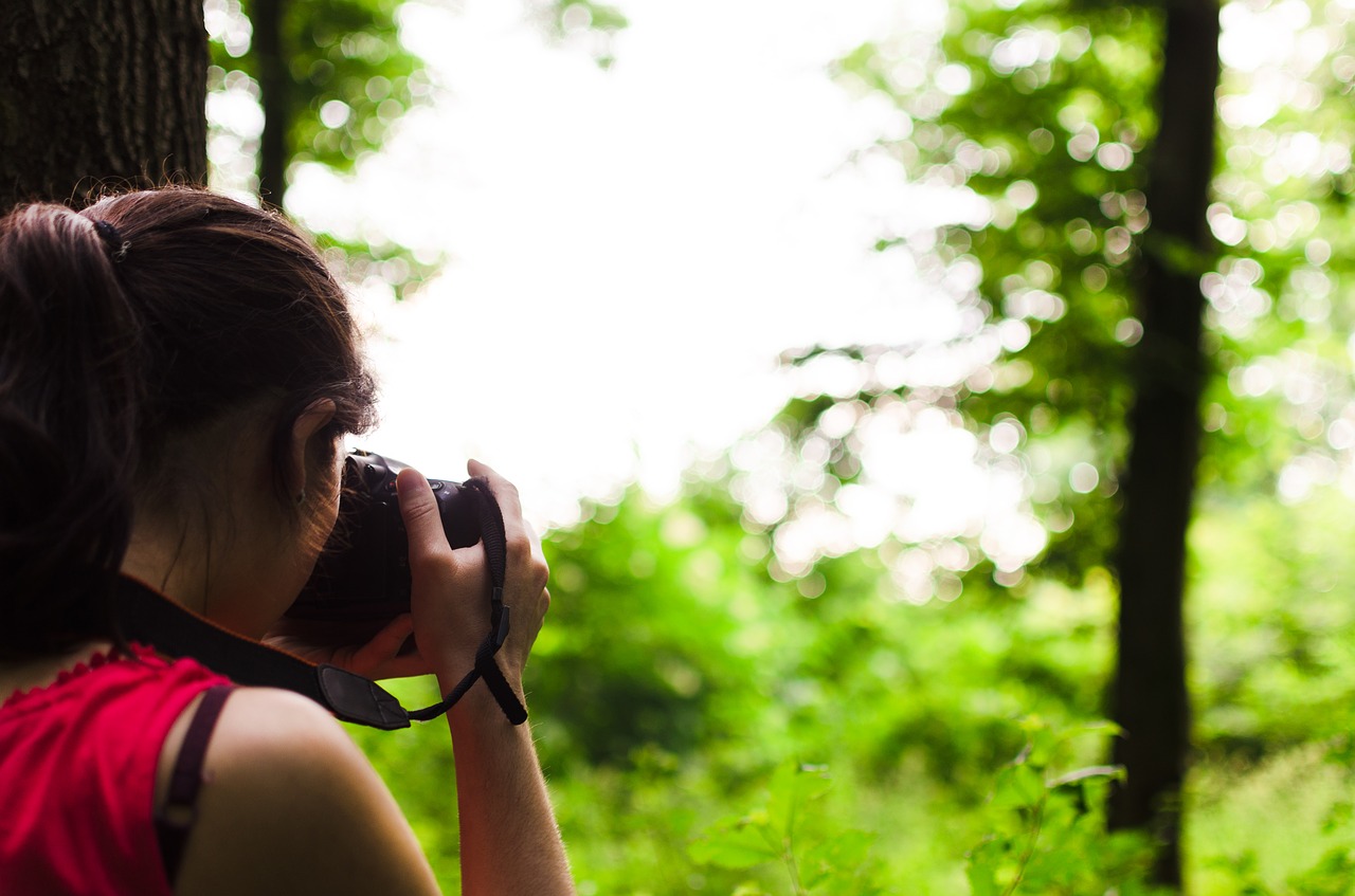 Fotografas, Moteris, Nuotrauka, Miškas, Asmuo, Mergaitė, Moteris, Jaunas, Fotoaparatas, Gamta