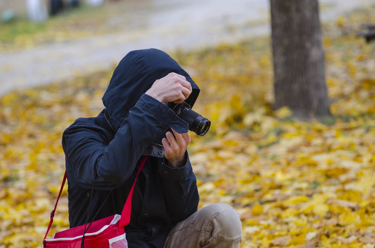 Fotografas, Procesas, Nuotrauka, Darbas, Veikti, Ruduo, Lapija, Gamta, Nukritusių Lapų, Listopad