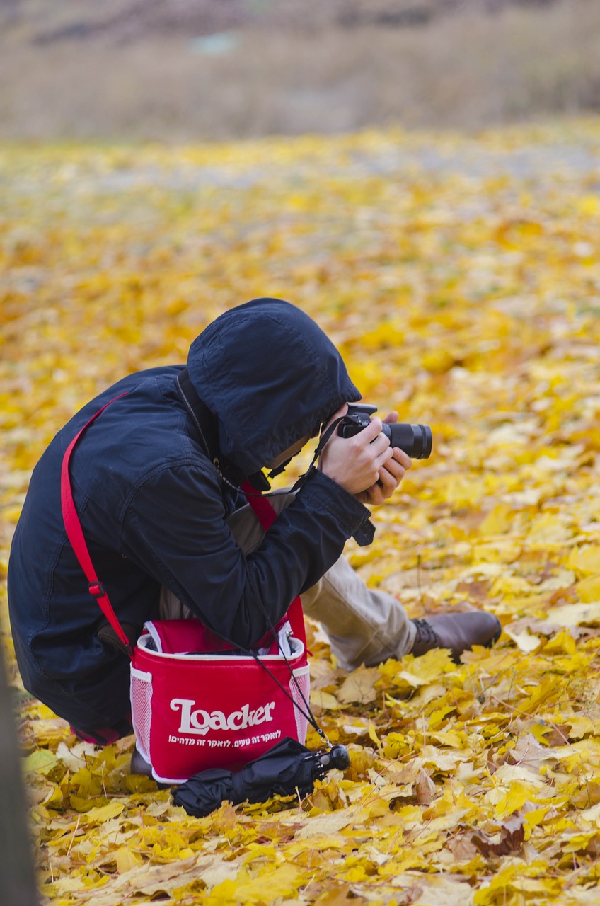 Fotografas, Procesas, Nuotrauka, Darbas, Veikti, Ruduo, Lapija, Gamta, Nukritusių Lapų, Listopad