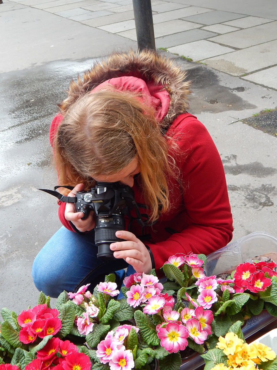 Fotografas,  Mergaitė,  Pavasaris,  Gėlės, Nemokamos Nuotraukos,  Nemokama Licenzija