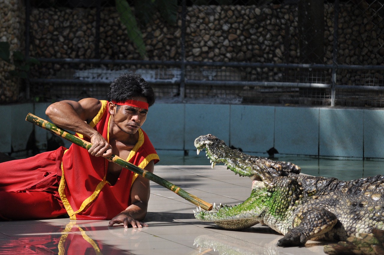 Phuket, Phuket Zoo, Krokodilas, Nemokamos Nuotraukos,  Nemokama Licenzija