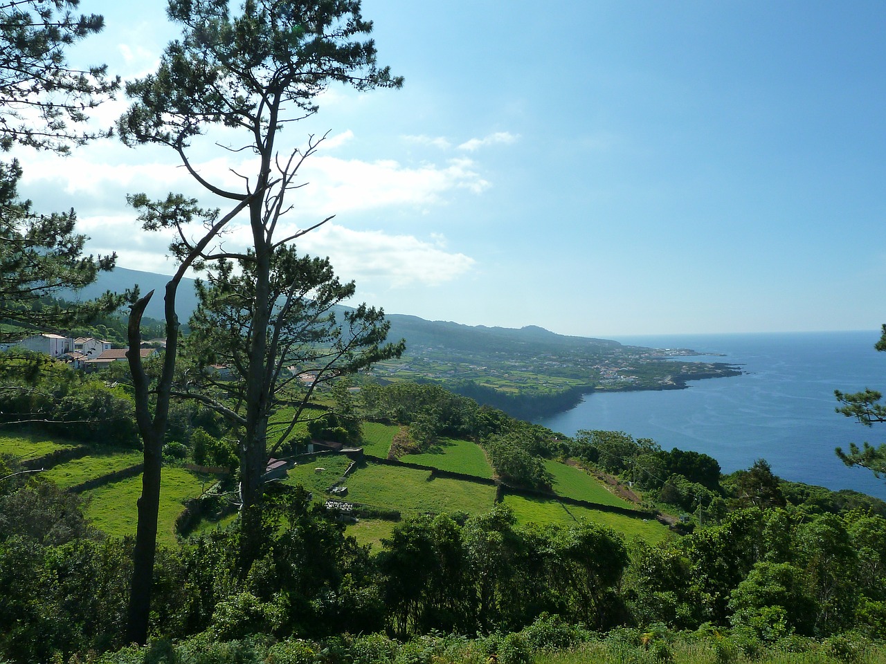 Pico, Azores, Atlanto Vandenynas, Medis, Kraštovaizdis, Sala, Jūra, Dangus, Gamta, Idiliškas