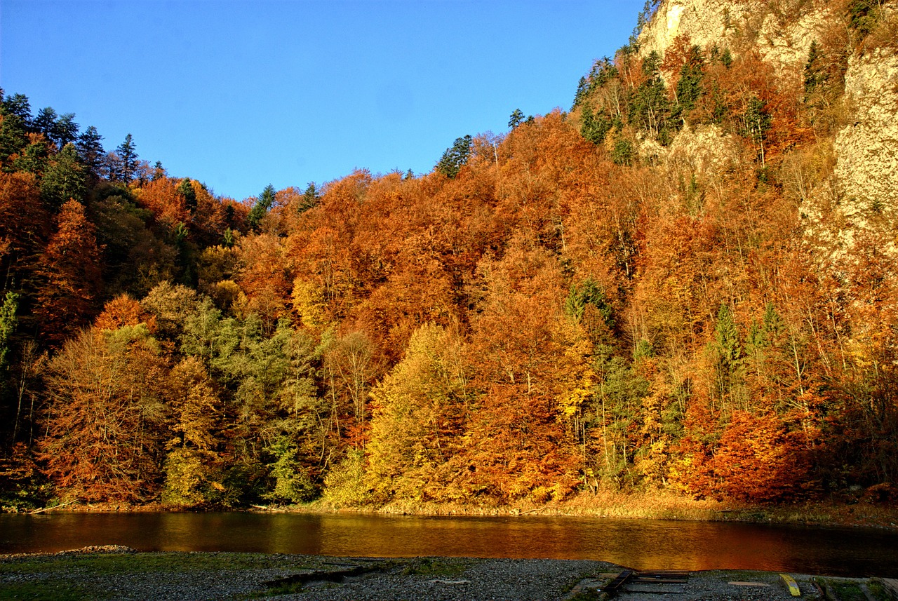 Pieninis, Dunajec, Rudens Lapai, Spalvos, Vaizdas, Gamta, Upė, Lenkija, Kraštovaizdis, Turizmas