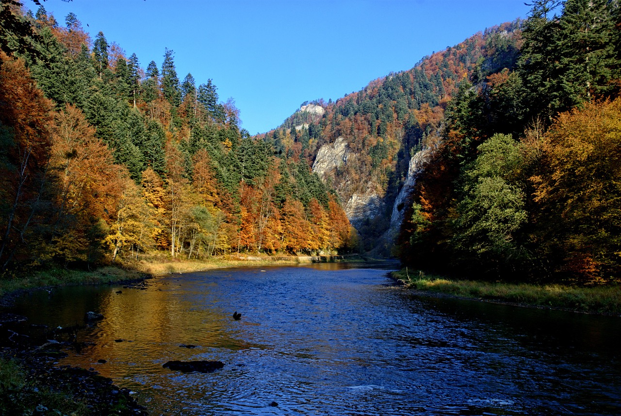 Pieninis, Dunajec, Rudens Lapai, Spalvos, Vaizdas, Gamta, Upė, Lenkija, Kraštovaizdis, Turizmas