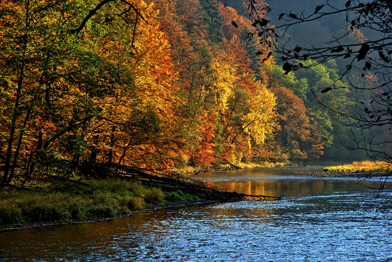 Pieninis, Dunajec, Rudens Lapai, Spalvos, Vaizdas, Gamta, Upė, Lenkija, Kraštovaizdis, Turizmas