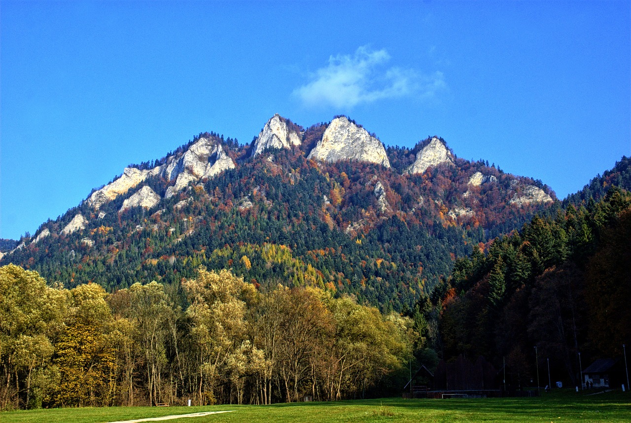 Pieninis, Dunajec, Trys Karūnos, Rudens Lapai, Spalvos, Vaizdas, Gamta, Upė, Lenkija, Kraštovaizdis