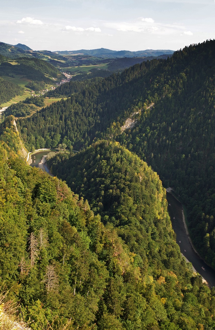 Pieninis, Dunajec, Sokolica, Viršuje, Pušis, Malopolska, Vaizdas, Szczawnica, Miškai, Panorama