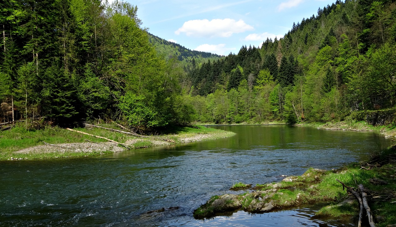 Pieninis, Kalnai, Kraštovaizdis, Gamta, Pėsčiųjų Takai, Pavasaris, Šventė, Tyla, Nemokamos Nuotraukos,  Nemokama Licenzija