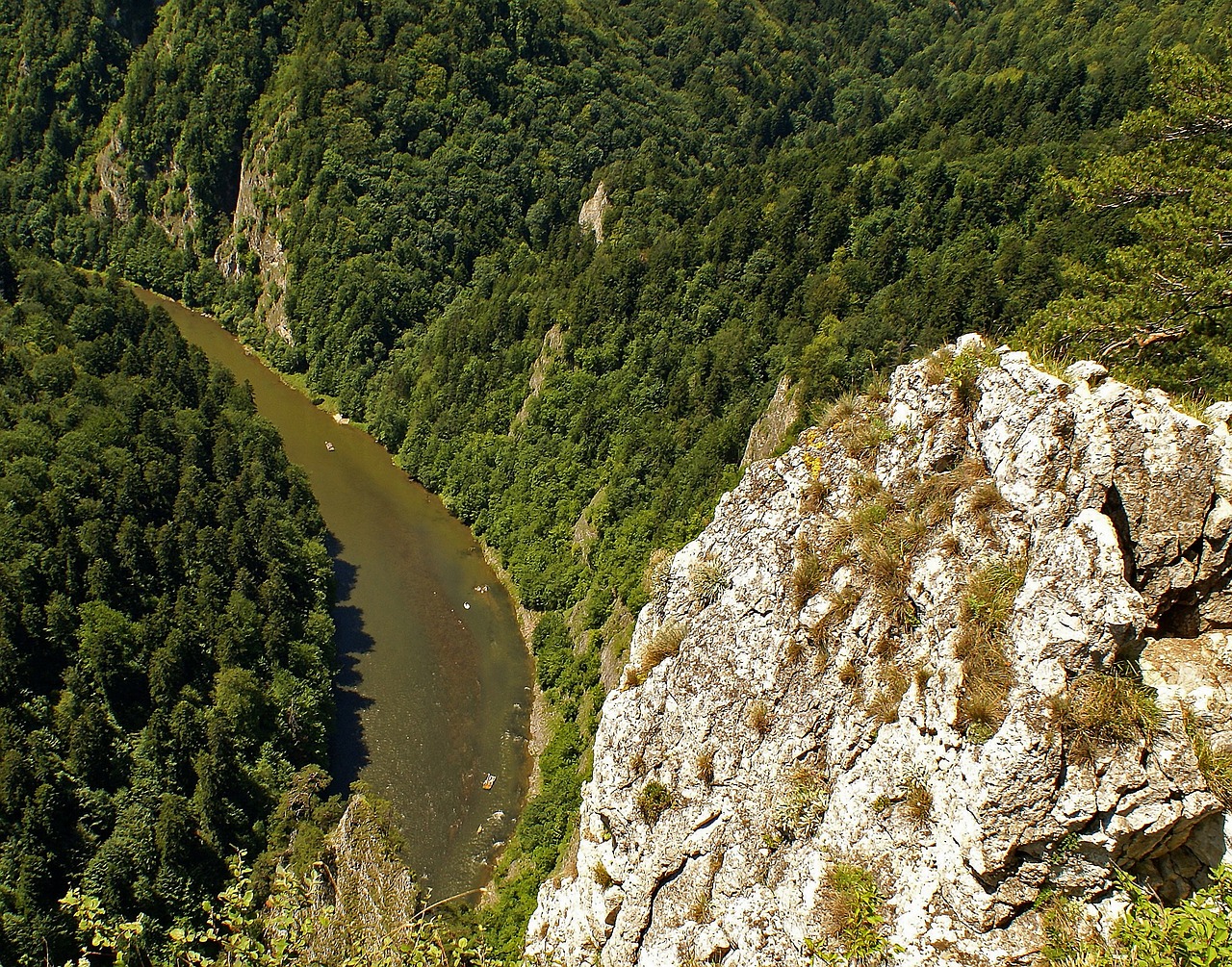 Pieninis, Sokolica, Dunajec, Upė, Kraštovaizdis, Gamta, Viršuje, Miškas, Kalkakmeniai, Akmenys