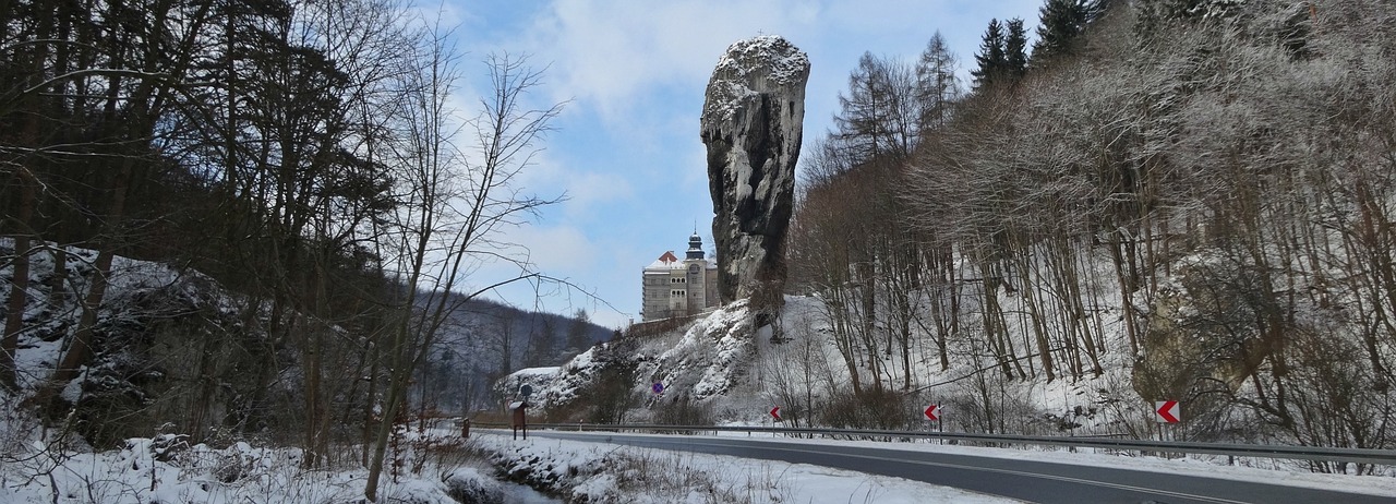 Pilies Apskrities Pilis, Lenkija, Kraštovaizdis, Žiema, Rokas, Medis, Nemokamos Nuotraukos,  Nemokama Licenzija