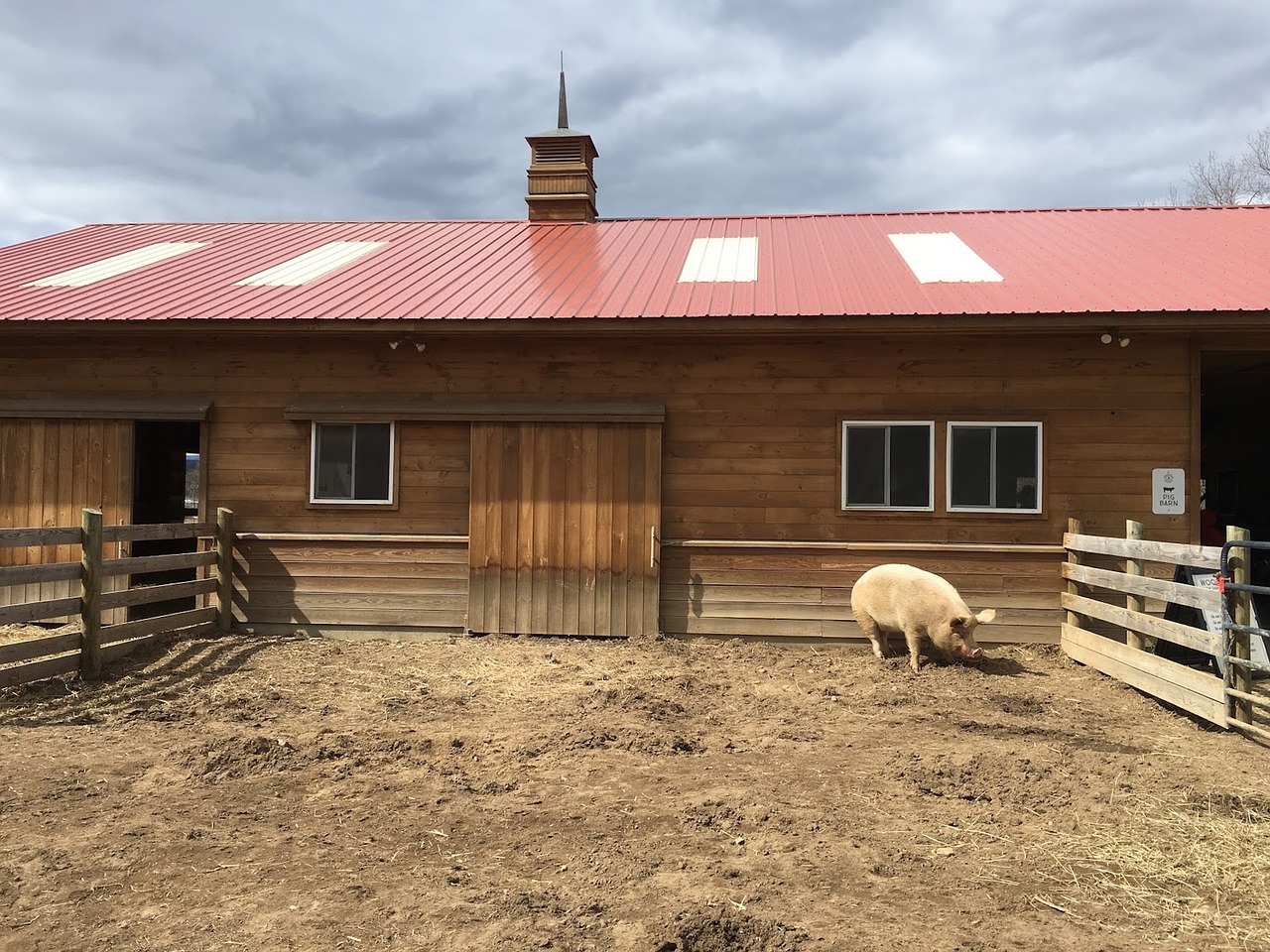 Kiaulių,  Tvartas,  Ūkis,  Žemdirbystė,  Tvora,  Kaimo,  Žemės Ūkio Naudmenų,  Ranch,  Lauko,  Žemės