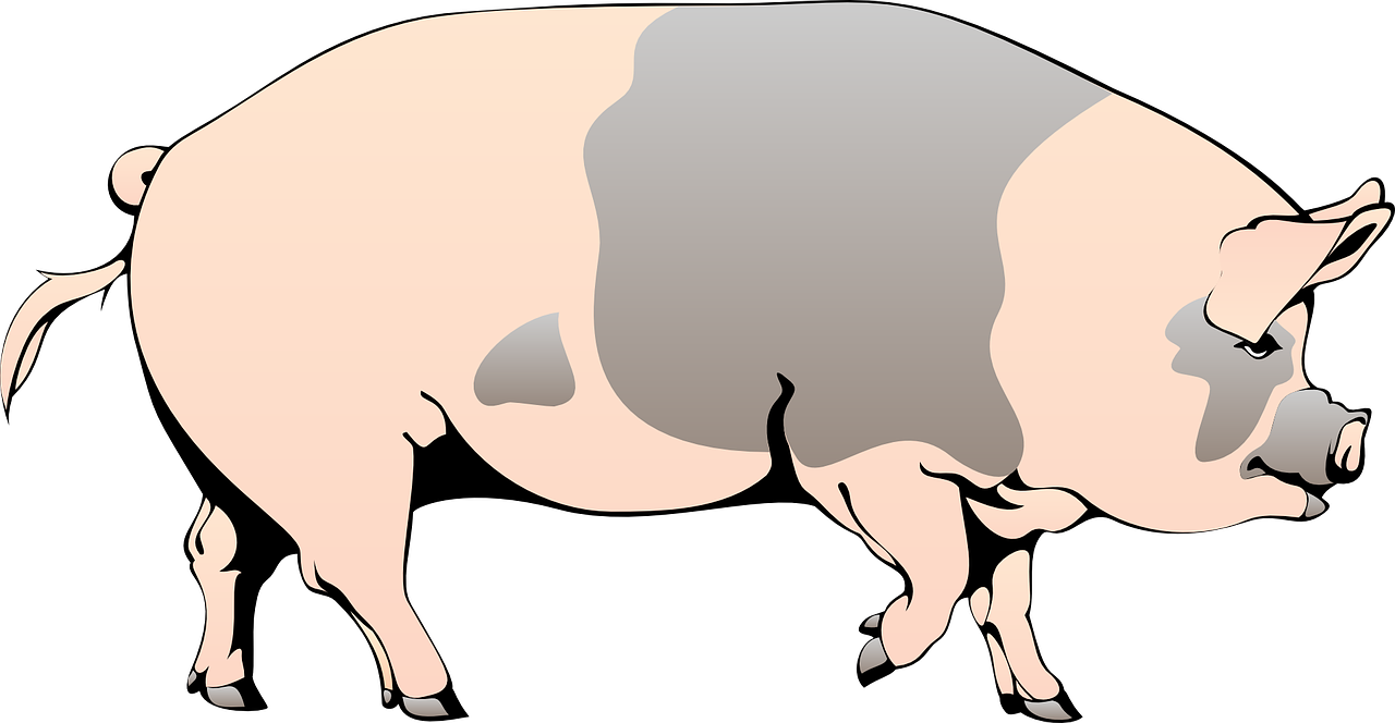 Kiaulė, Tvartas, Ūkis, Gyvūnas, Pastebėtas, Slopai, Nemokama Vektorinė Grafika, Nemokamos Nuotraukos,  Nemokama Licenzija