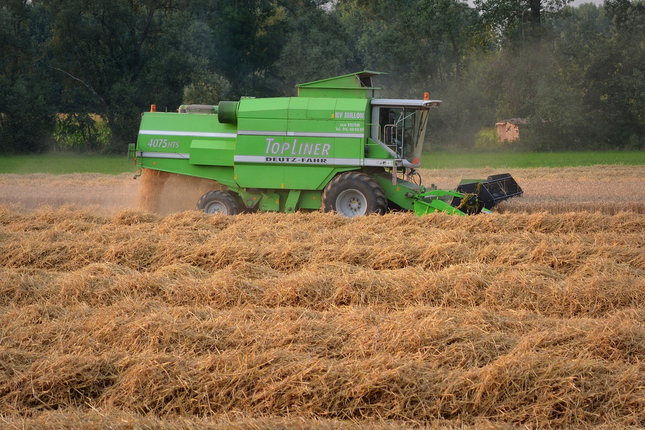 Pikdorser, Šiaudai, Derlius, Grūdai, Žemdirbystė, Nemokamos Nuotraukos,  Nemokama Licenzija