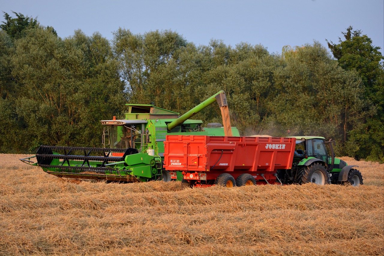 Pikdorser, Šiaudai, Derlius, Grūdai, Žemdirbystė, Žemės Ūkio Transporto Priemonės, Laukas, Traktorius, Derliaus Metas, Nemokamos Nuotraukos