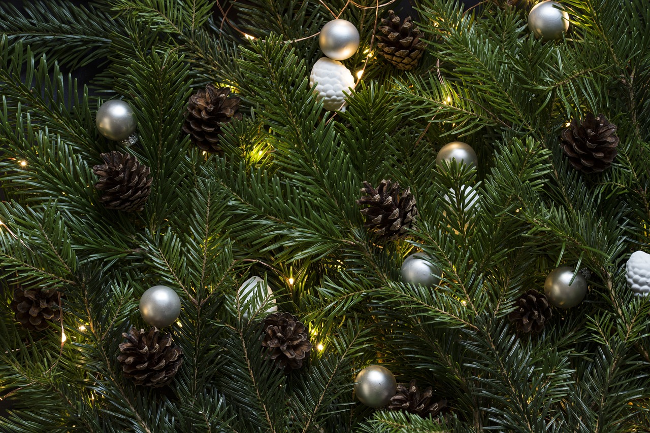 Pinetree, Kalėdų Eglutė, Pušies Kankorėžiai, Kūginiai Kūgiai, Bambukai, Kalėdų Kepurės, Pušies Adatos, Xmas, Xmas Tree, Xma Baubles