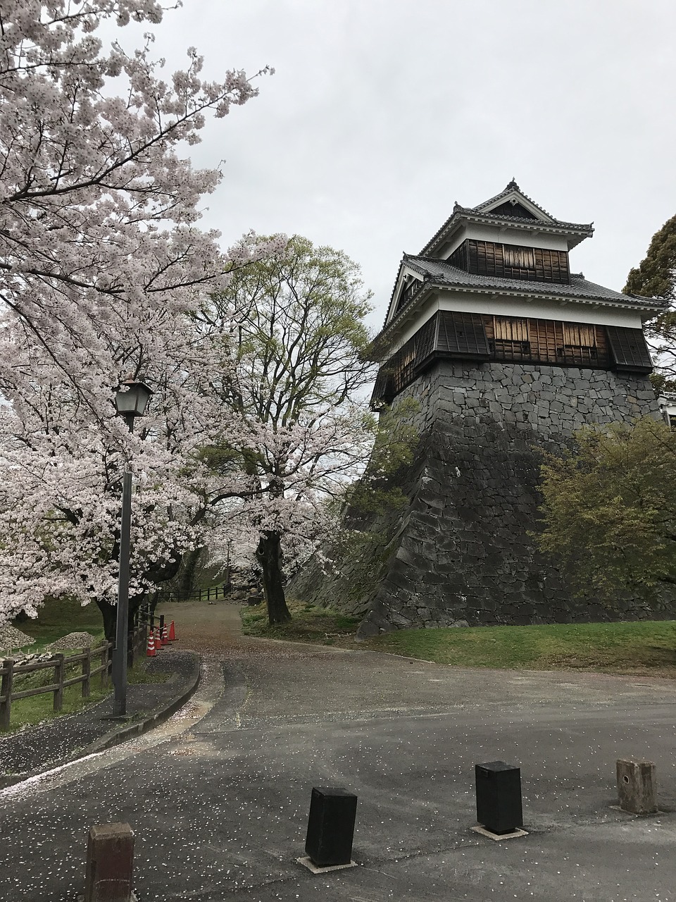 Rožinis, Vyšnių Žiedas, Sakura, Gėlė, Kumamoto, Pilis, Pavasaris, Japonija, Nemokamos Nuotraukos,  Nemokama Licenzija