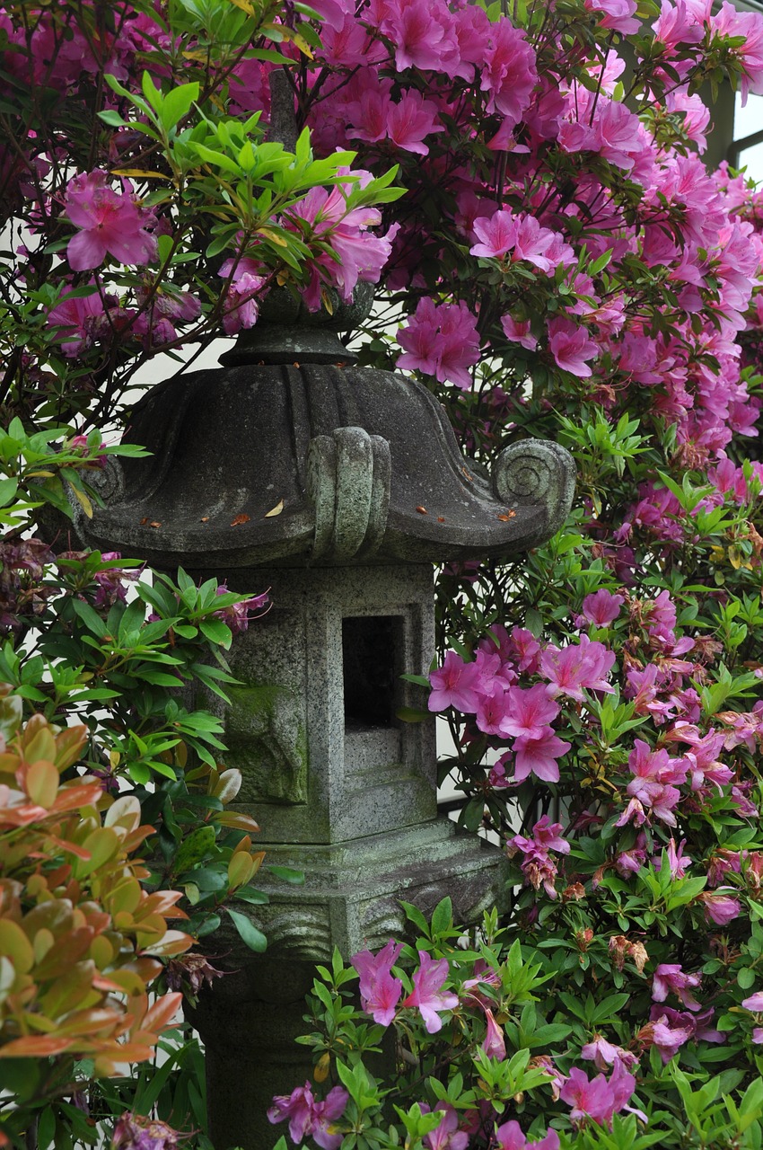 Rožinis, Gėlė, Japonija, Pagoda, Taika, Nemokamos Nuotraukos,  Nemokama Licenzija