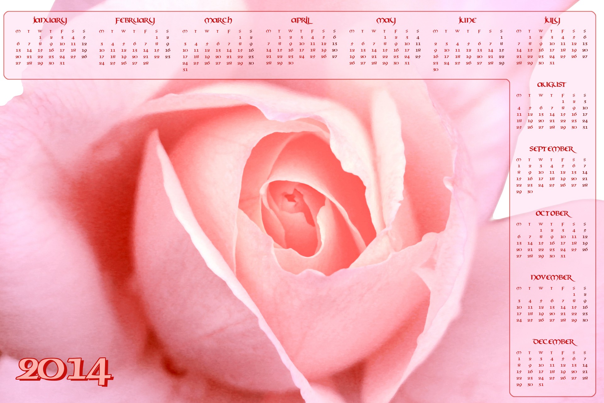 2014,  Kalendorius,  2014 & Nbsp,  Kalendorius,  Gėlė,  Rožė,  Geltona,  Geltona & Nbsp,  Rožė,  Nauji & Nbsp