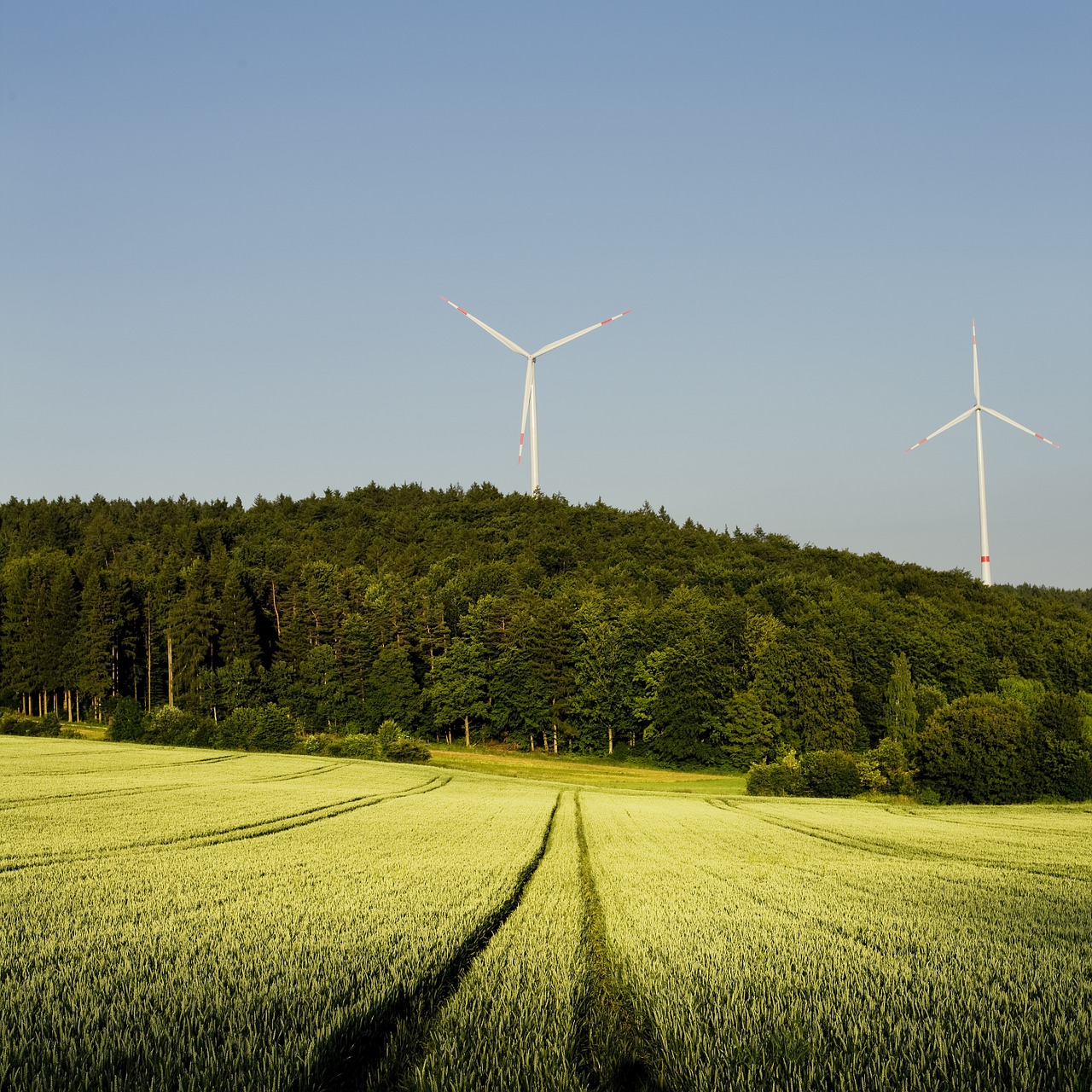 Pinwheel, Miškas, Laukas, Kvieciai, Bavarija, Elektros Energijos Gamyba, Žalioji Energija, Ekologija, Dangus, Vėjo Energija