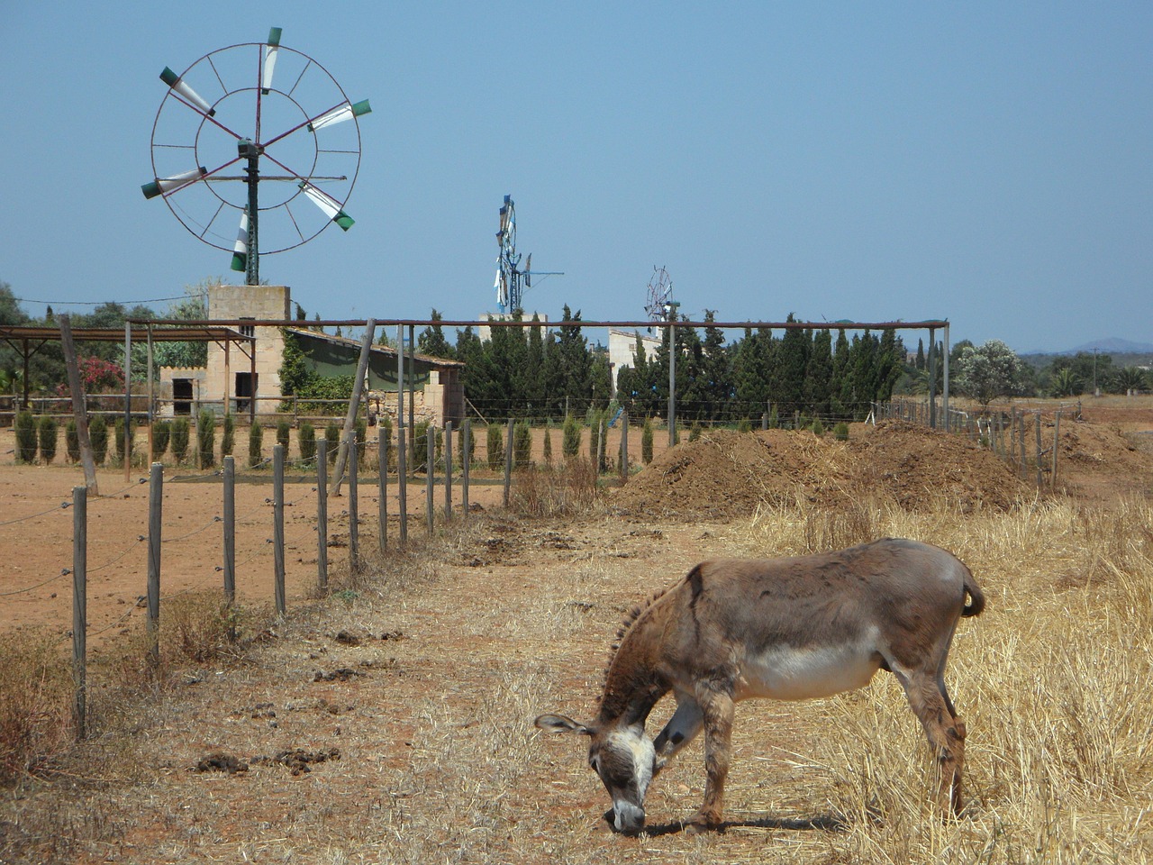 Pinwheel, Maljorka, Metalas, Ratas, Vėjas, Vėjo Energija, Energija, Mėlynas, Dangus, Žemdirbystė