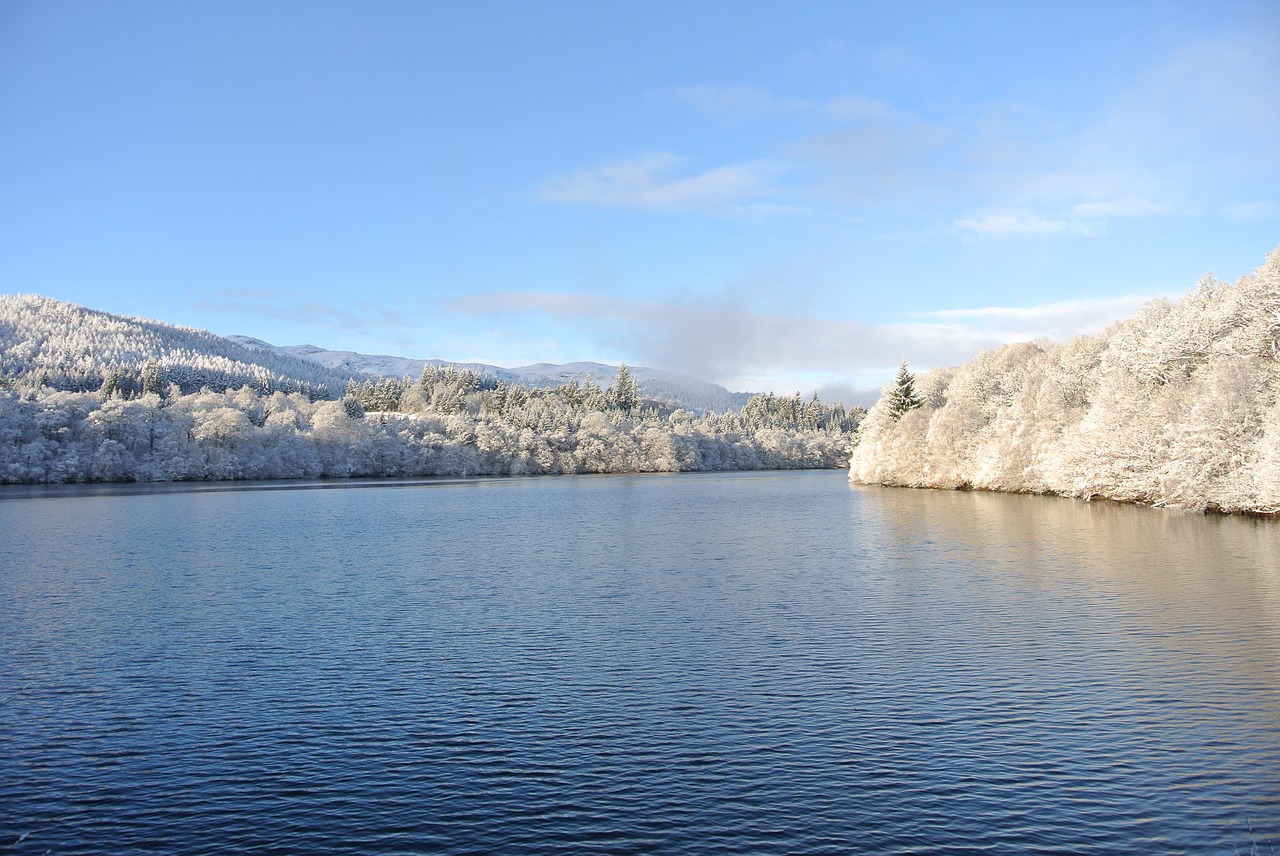 Pitlochry, Žiema, Sniegas, Šaltis, Medžiai, Škotija, Škotų, Perthshire, Parkas, Sušaldyta