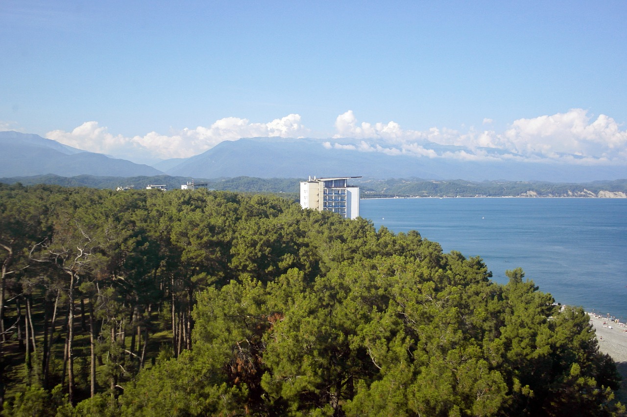 Pitsunda,  Abchaziją,  Pušis,  Pobūdį,  Dangus,  Jūra,  Kelionė,  Panoraminis, Nemokamos Nuotraukos,  Nemokama Licenzija