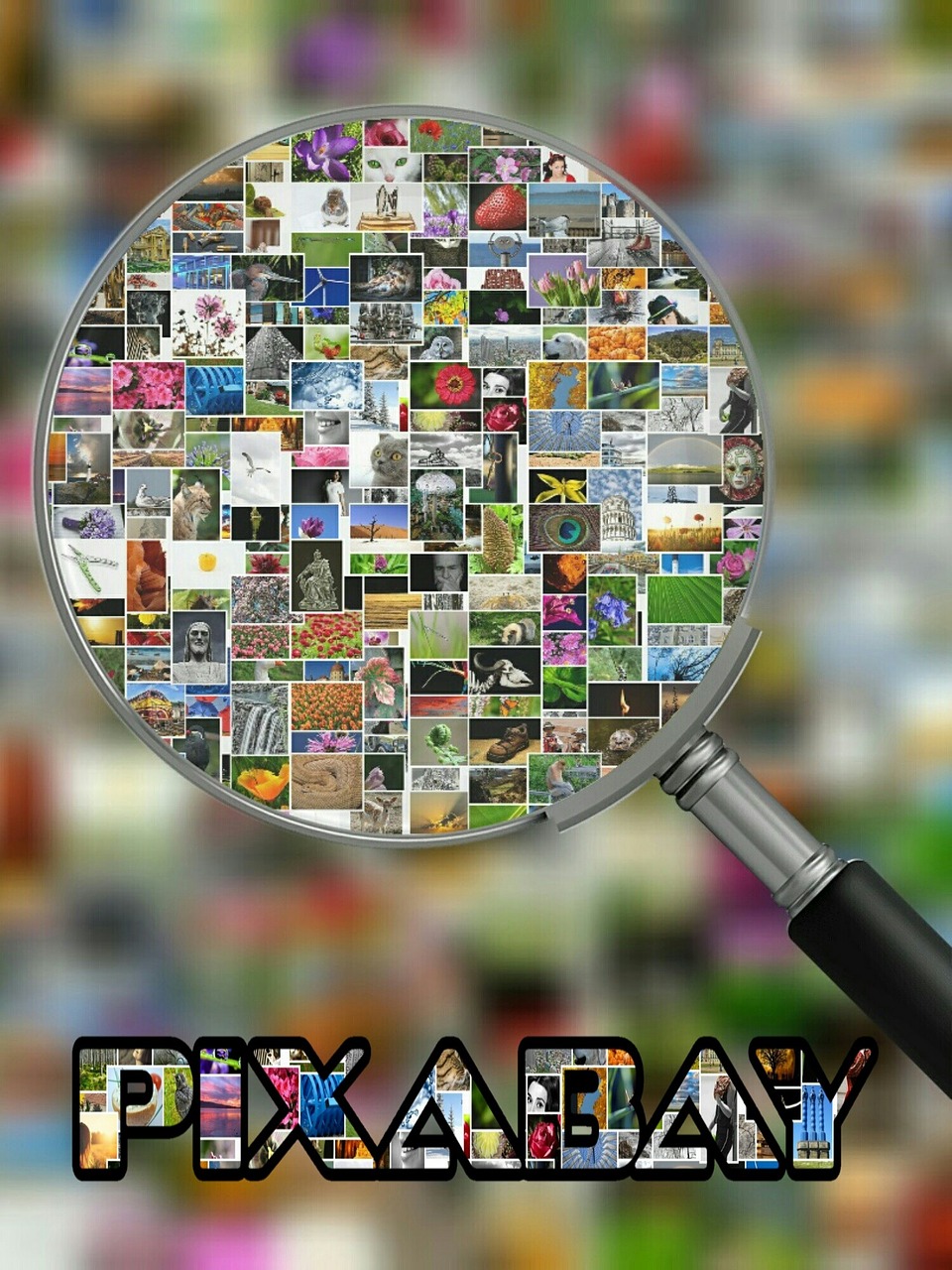 Pixabay, Vaizdų Duomenų Bazė, Nuotraukos, Varlė, Figūra, Fotografas, Juokinga, Mielas, Nuotrauka, Vaizdai
