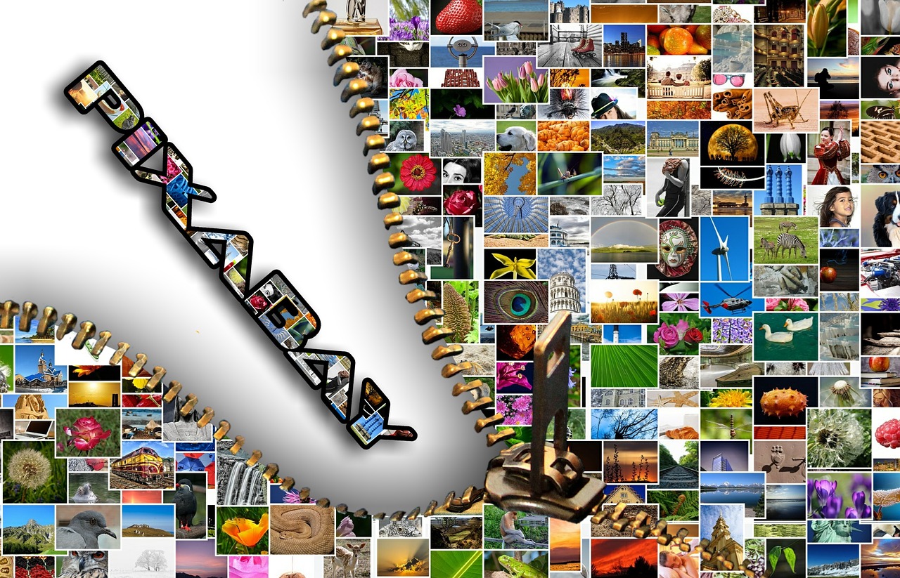 Pixabay, Vaizdų Duomenų Bazė, Nuotraukos, Vaizdai, Vaizdo Įrašai, Cco, Nemokamos Nuotraukos,  Nemokama Licenzija