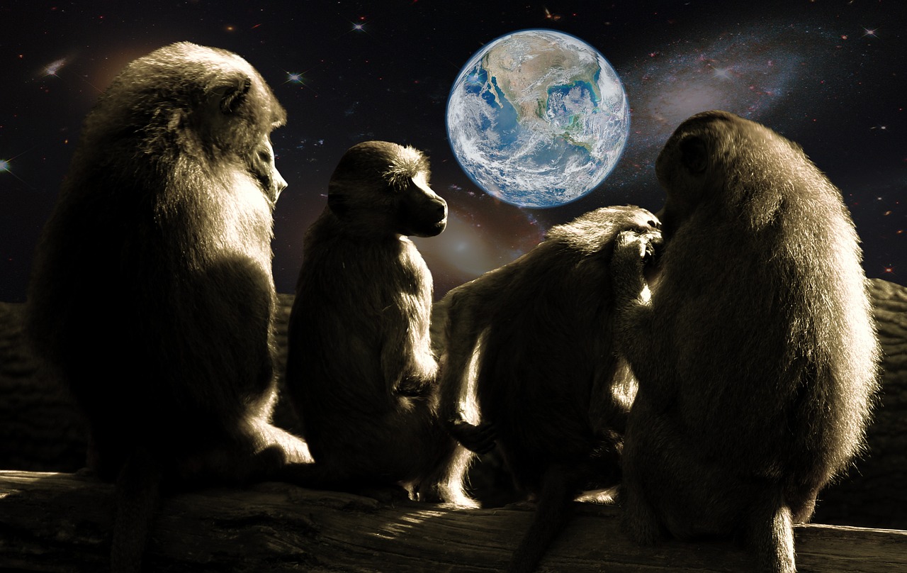 Beždžionių Planeta, Ape, Babuinai, Visata, Žemė, Perspektyva, Žiūrėti Televizorių, Šeima, Šventė, Abendstimmung