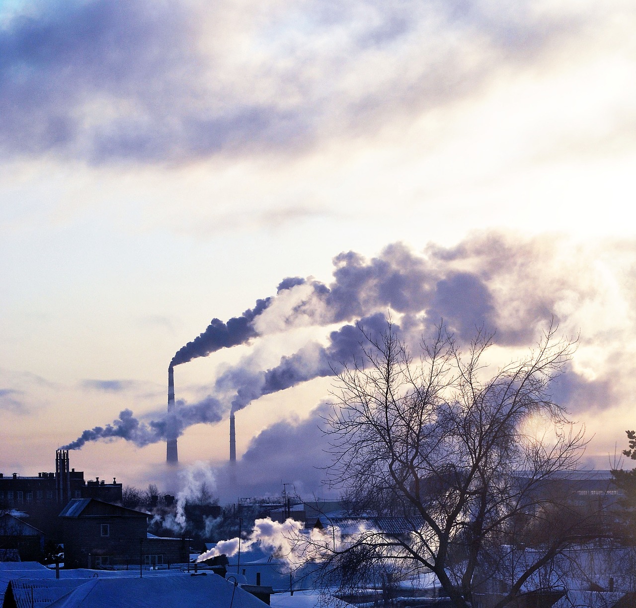 Augalai, Dūmai, Kraštovaizdis, Pramoninis Kraštovaizdis, Miestas, Vamzdis, Dangus, Atmosferos Tarša, Industrija, Poros