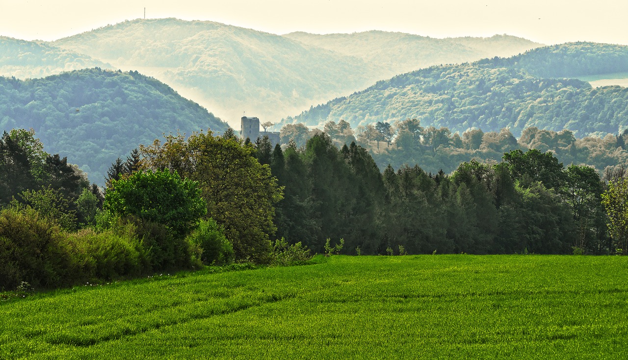 Plateau,  Kalnai,  Kraštovaizdis,  Migla,  Rytą,  Medžiai,  Krūmai,  Laukai,  Lane,  Pobūdį