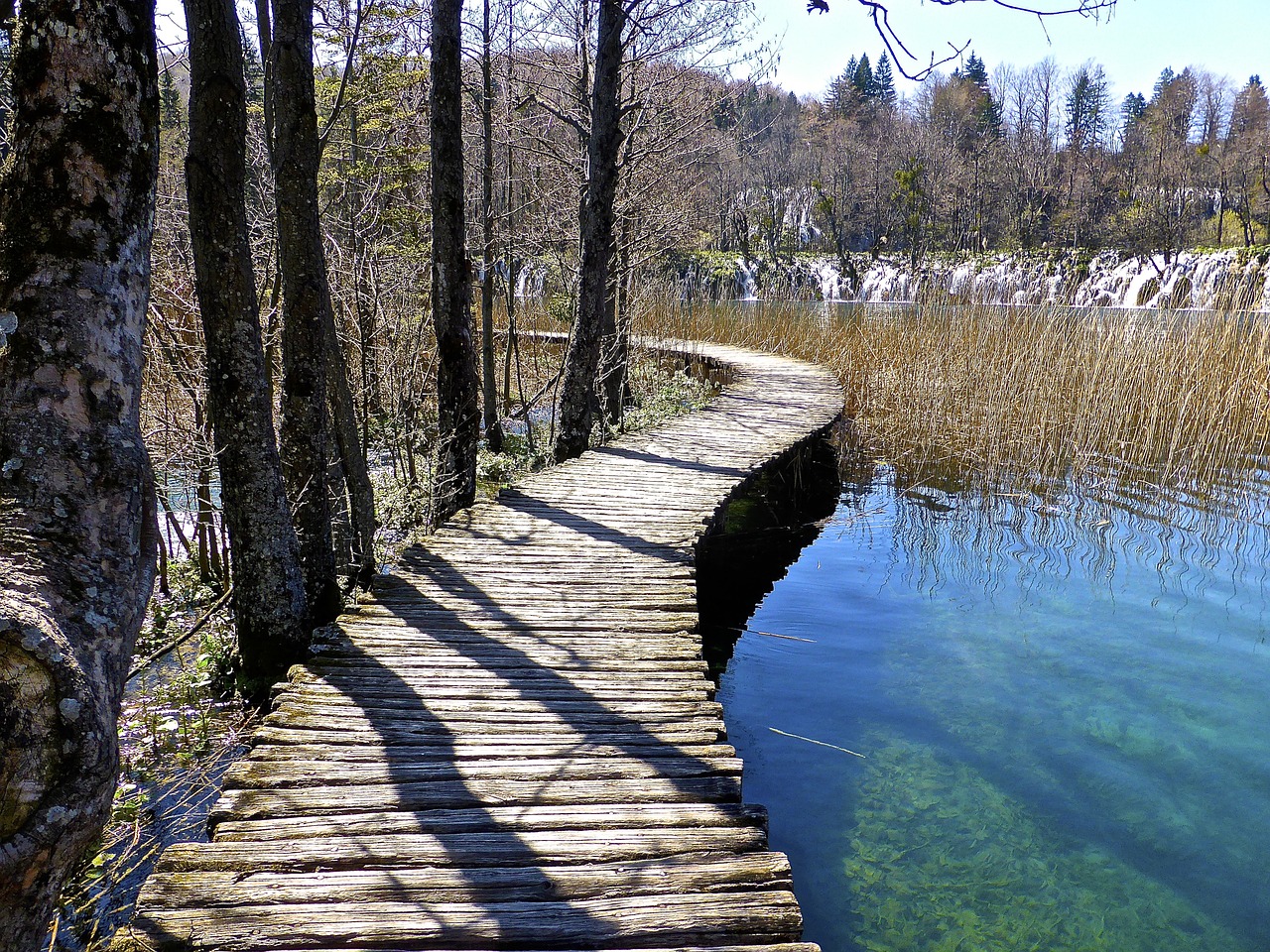 Plitvice, Lentynas, Ežeras, Kroatija, Natūralus, Parkas, Gamta, Aplinka, Šviežias, Taikus