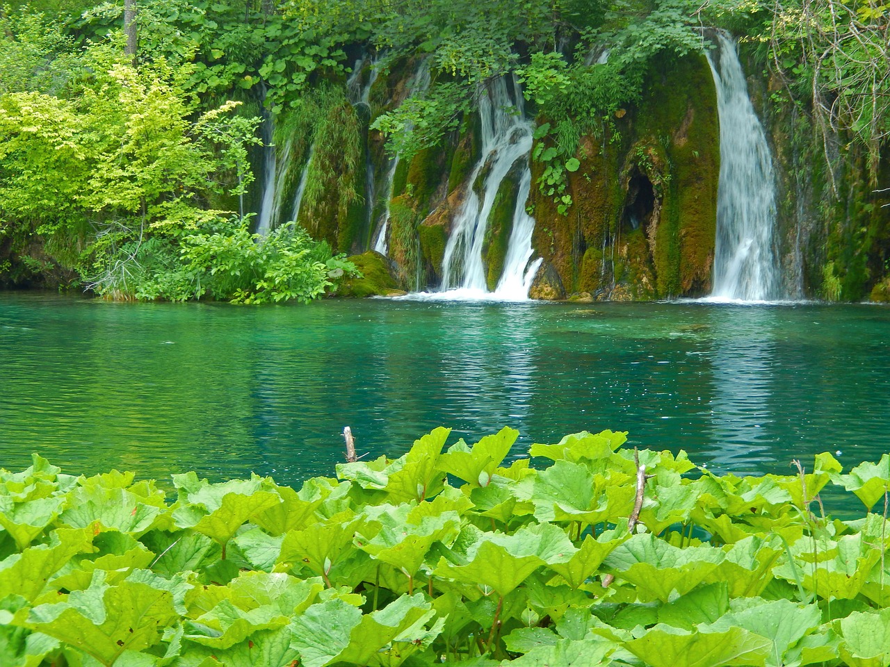 Plitvice Ežerai, Nacionalinis Parkas, Kroatija, Gamta, Skaidrus Vanduo, Ežeras, Krioklys, Lentynas, Kraštovaizdis, Idiliškas