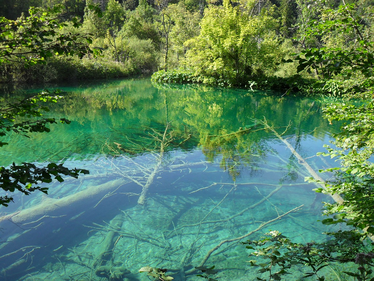 Plitvice Ežerai, Gamta, Ežeras, Kroatija, Nacionalinis Parkas, Skaidrus Vanduo, Nemokamos Nuotraukos,  Nemokama Licenzija